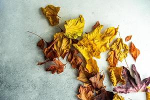 trockene herbstliche blätter auf konkretem hintergrund foto