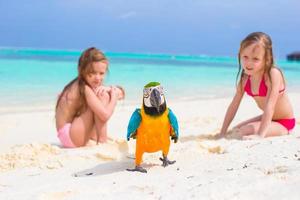 entzückende kleine Mädchen am Strand mit buntem Papagei foto