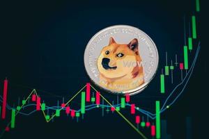 dogecoin kryptowährung silbersymbol und aktienchart kerzenhalter auf tabletten. mit Kapitalgewinn, grundlegend. foto