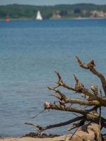 die ostsee bei flensburg in deutschland foto