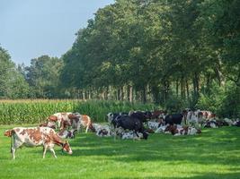 Bredevoort in den Niederlanden foto