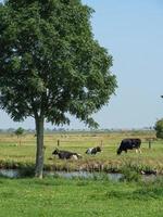 das dorf ditzum an der ems foto