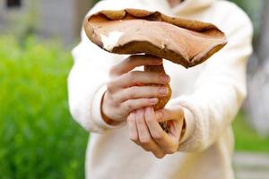 weibliche Hand, die rohen essbaren Pilz mit braunem Kappen-Pennybrötchen im Herbstwaldhintergrund hält. Ernte große Steinpilze in natürlicher Umgebung pflücken. leckeres bio-lebensmittelkonzept kochen. foto