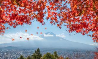 Blick auf den Berg Fuji über die Stadt mit roter Ahornabdeckung foto