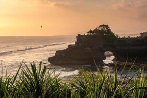 pura batu bolong tempel auf felsen mit baum an der küste bei sonnenuntergang foto