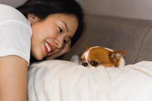 Haustierbesitzer, der Chihuahua-Hund anschaut, während er auf einem Bett liegt. foto