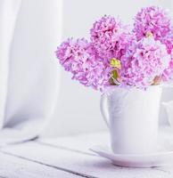 rosa Hyazinthen in der weißen Vase auf weißem Hintergrund foto