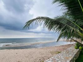 schöner goldener sandstrand sonnenaufgang frische meeresbrise sommerferien mit grünem kokosnussblattbaum. blauer Himmel und weiße Wolken. foto