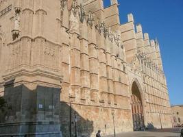 la seu kathedrale in palma de mallorca foto