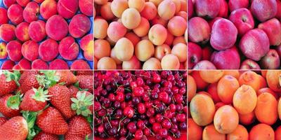 Collage aus Früchten, die als Hintergrund nützlich sind foto