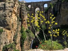 Ronda, Andalusien, Spanien, 2014. Blick auf die neue Brücke foto