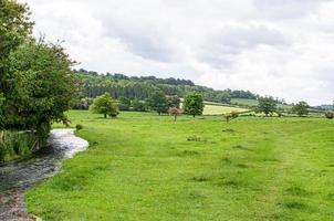 faszinierende Landschaftsansicht mit einem grünen Feld und dicht wachsenden Bäumen gegen einen bewölkten Himmel foto