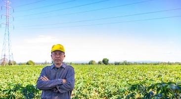 Porträt eines Seniorbauern auf dem Land foto