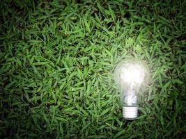 Glühbirne auf grünem Gras, energiesparend, rette die Welt, liebe und schütze unseren Planeten, umweltfreundliches Konzept foto