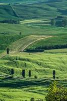 landschaft des val d'orcia in der nähe von pienza in der toskana foto