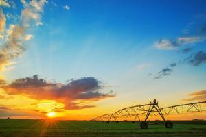 automatisiertes landwirtschaftliches Bewässerungssystem bei Sonnenuntergang