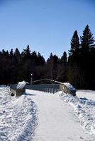 Weg über eine schneebedeckte Brücke foto