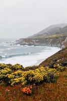 Küstenblumen und Meerblick foto