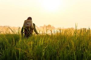 Landwirte sprühen Herbizide foto