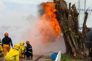 Feuerwehrleute trainieren in der Nähe des Baumstumpfes. foto