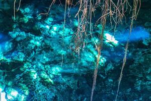 blau türkis wasser kalkstein höhle doline cenote tajma ha mexiko. foto