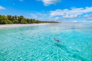 Kaukasisches Touristenpaar schnorchelt im kristallklaren türkisfarbenen Wasser in der Nähe der Insel Malediven. perfekte wetterbedingungen in der strandszene des luxusresorts, ruhiges meerwasser, paar exotisches wasser, unterwasserwelt foto
