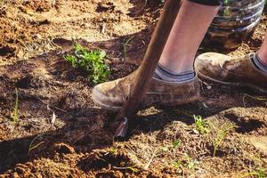 Erde mit Handschaufel ausheben. Gartenarbeit und Aussaat im Frühjahr. Landleben, Landwirtschaft. foto