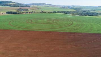 landwirtschaftliches bewässerungssystem an sonnigen sommertagen. eine Luftaufnahme einer Sprinkleranlage mit zentralem Drehpunkt. foto