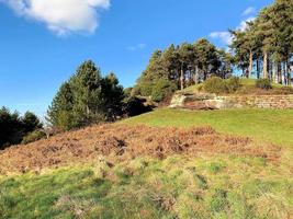 ein blick auf die landschaft von cheshire bei carden foto