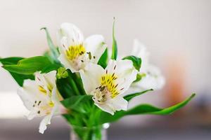 schöne Frühlingsblumen in Vasen auf hellem Hintergrund foto
