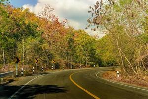 Straßen- und Waldfarbe auf beiden Seiten foto