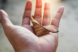 Die linke Hand des Mannes hält ein trockenes Blatt mit braunen Blättern und auf verschwommenem Hintergrund foto