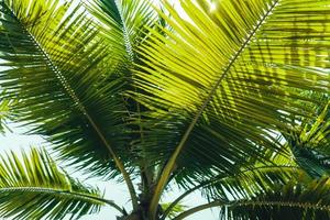 Railay Beach, Strand und felsige Berglandschaft im Sommer foto