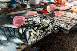 Fischmarkt in Krabi, rohe Meeresfrüchte auf einem Markt in der Nähe des tropischen Meeres foto