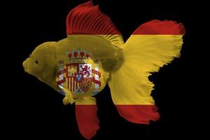 Flagge von Spanien auf Goldfisch foto