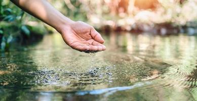 und berührt Wasser im Teich foto