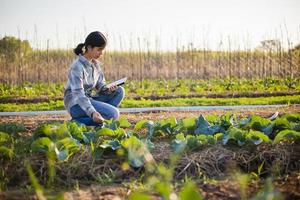 asiatische Frau verwendet Tablet, um Informationen zum Gemüseanbau im Garten zu überprüfen foto