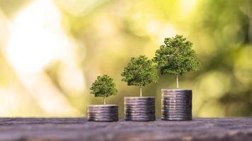 Geldwachstumsideen und Geschäftserfolgsideen. Bäume wachsen auf Geldhaufen im Boden. foto