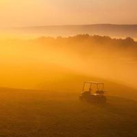 grüner Golfwagen im Morgennebel