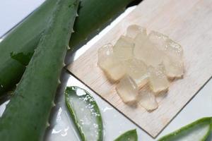 aloe vera gel auf holzplatte und weißem hintergrund, hautkosmetische pflanze, topische antibiotikabehandlung. foto