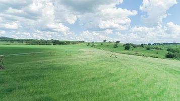 landwirtschaftliches bewässerungssystem an sonnigen sommertagen. eine Luftaufnahme einer Sprinkleranlage mit zentralem Drehpunkt. foto