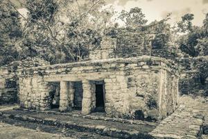 alte Maya-Stätte mit Tempelruinen Pyramidenartefakten Muyil Mexiko. foto