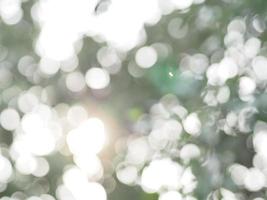 abstrakter natürlicher Bokeh-Sonnenlicht-Hintergrundbaum stockfoto foto