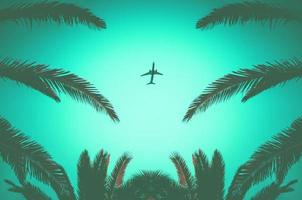 Silhouette eines startenden Flugzeugs und tropischer Palmen auf grünem Hintergrund. Flugreisen und Erholung in den Tropen. foto