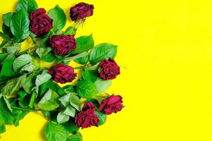 Strauß roter verwelkter Rosen auf gelbem Hintergrund. foto