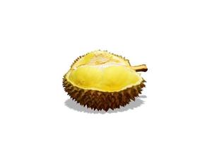 Durian Monthong auf weißem Hintergrund. foto