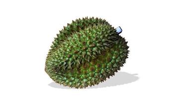 Nahaufnahme Durian Monthong isolieren auf weißem Hintergrund. foto