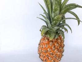 Ananasfoto mit weißem Hintergrund foto