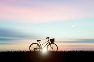 Silhouetten von Fahrrädern, die in einem schönen Park geparkt sind foto