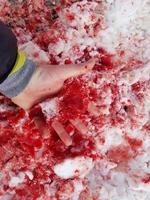 Blut auf dem Schnee foto